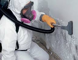 Best Basement Mold Removal  in Oak Point, TX